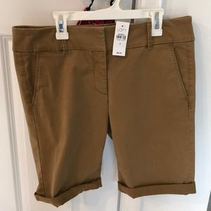 loft size 6 shorts
